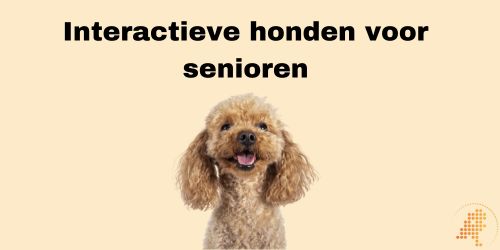 interactieve hond voor mensen met dementie