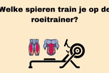 welke spieren train je op de roeitrainer